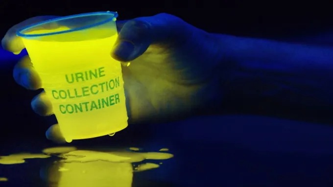 can a black light detect urine