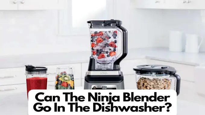 can a blender go in the dishwasher