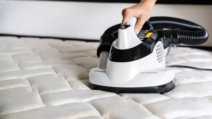 can a carpet cleaner clean a mattress