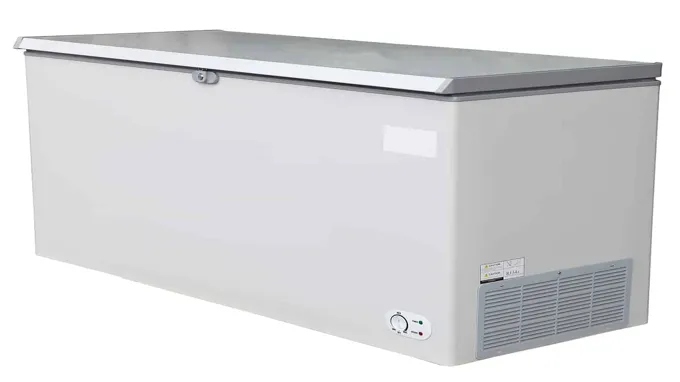 can a chest freezer be kept outside