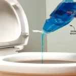 Can a Clogged Toilet Resolve Itself? Tips to Unclog Without a Plumber