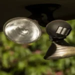 Can a Flashlight Set Off a Motion Detector Without Detection? Master What You Need to Know