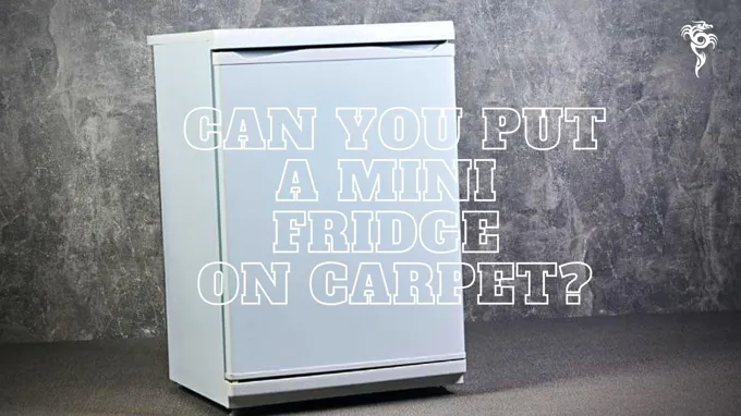 can a fridge be on carpet