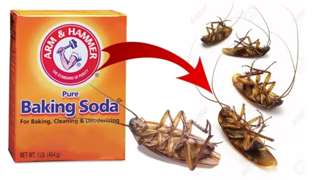 Can Air Freshener Kill Cockroaches: The Ultimate Guide to Eliminating Pests