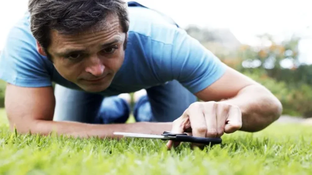 What a Day for a Mow: Best Tips for Mowing Your Lawn Efficiently