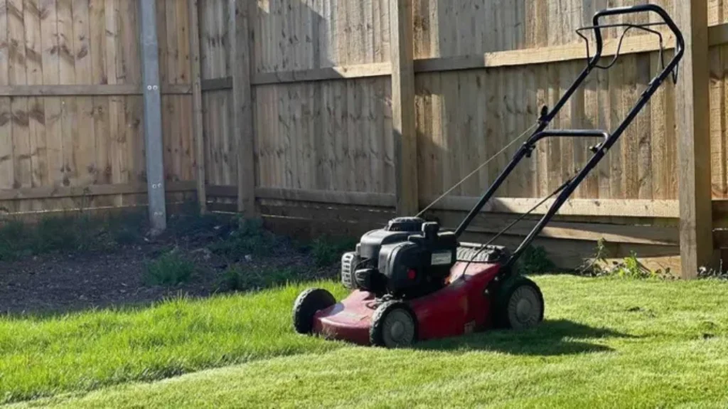 When Can I Cut New Grass: A Guide to Proper Timing and Techniques