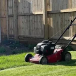 When Can I Cut New Grass: A Guide to Proper Timing and Techniques