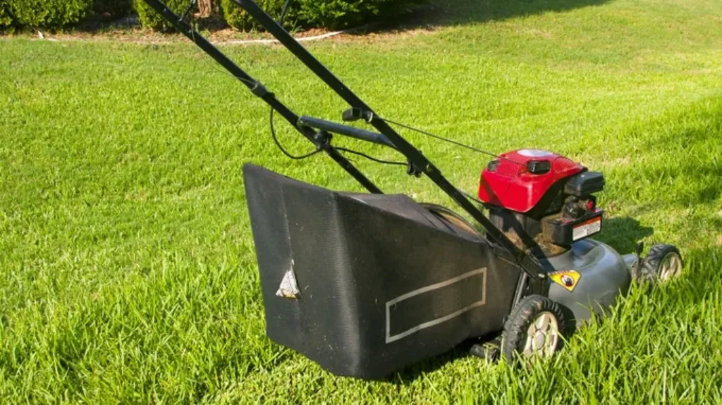 When Can I Mow After Fertilizing for a Healthy Lawn: Essential Tips