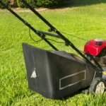 When Can I Mow After Fertilizing for a Healthy Lawn: Essential Tips