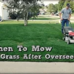 When Can I Mow New Grass Seed: Best Time and Tips for Lawn Care