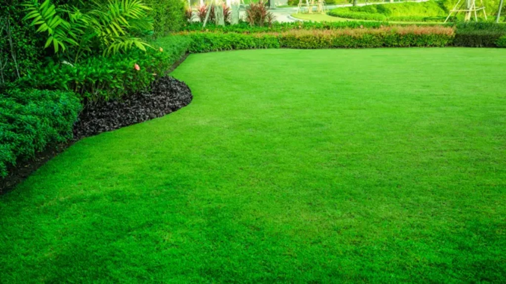 When Can You Cut New Grass: Best Practices for Lawn Care