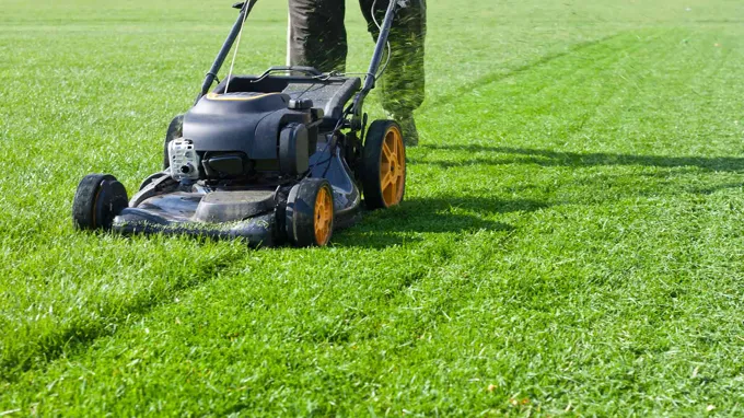 when can you start mowing your lawn