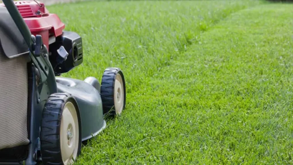 When Can You Start Mowing Your Lawn? Top Tips and Guidelines