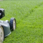 When Can You Start Mowing Your Lawn? Top Tips and Guidelines