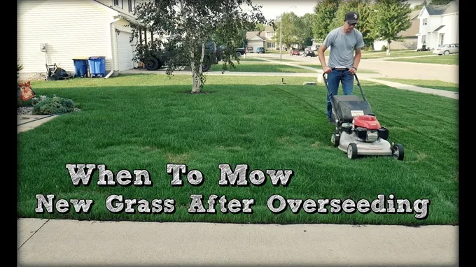 when do i mow new grass