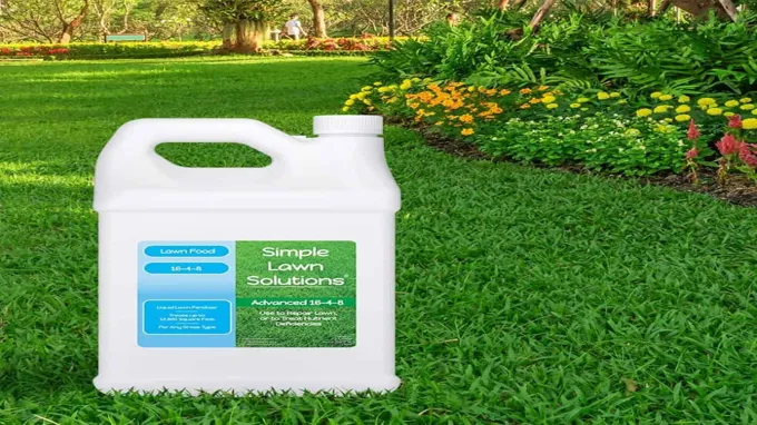 when do you fertilize your lawn in texas