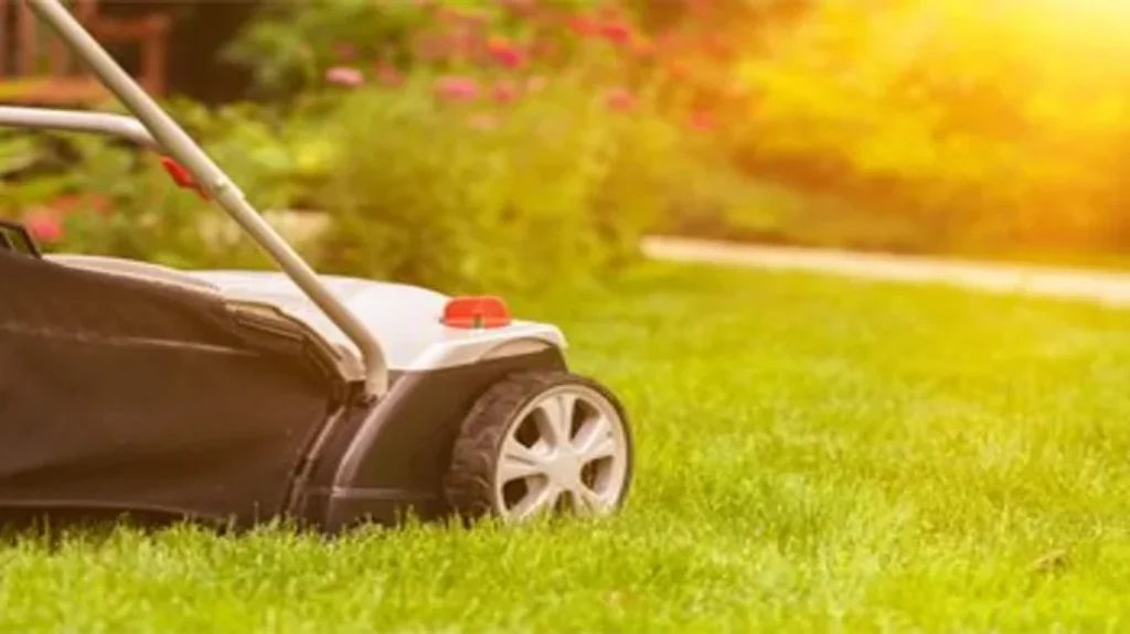 When Do You Mow New Grass: Best Practices for Mowing New Lawn