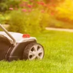 When Do You Mow New Grass: Best Practices for Mowing New Lawn