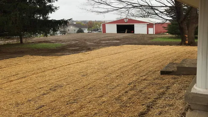 when do you remove straw from new grass