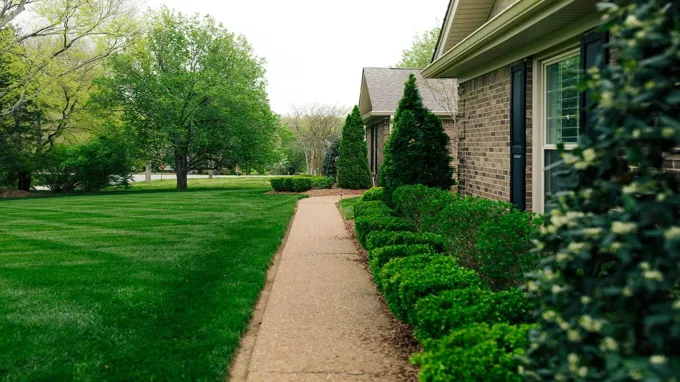 when does grass stop growing in illinois