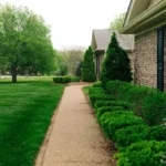 When Does Grass Stop Growing in Illinois: A Guide to Seasonal Lawn Care