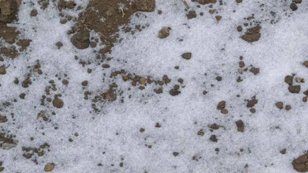 When Does the Ground Freeze in Iowa: Understanding the Freezing Season in the Midwest