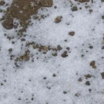 When Does the Ground Freeze in Iowa: Understanding the Freezing Season in the Midwest