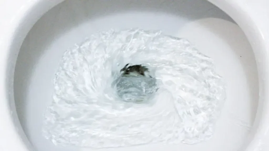 When Flushing Toilet Water Comes Up: Reasons and Solutions for this Common Plumbing Issue