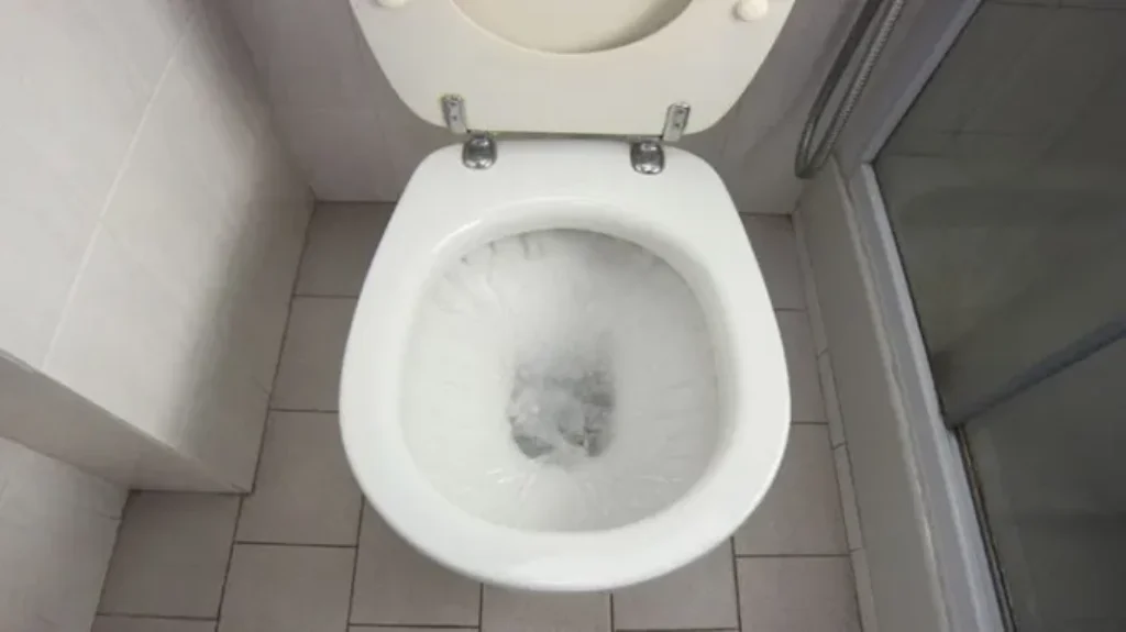 When I Flush the Toilet Water Comes Up: Common Causes and Solutions