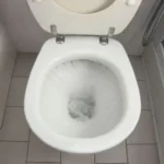 When I Flush the Toilet Water Comes Up: Common Causes and Solutions