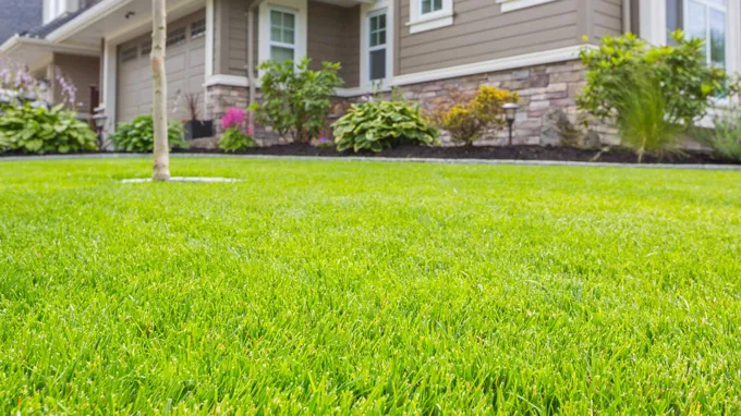 when is it best to fertilize your lawn