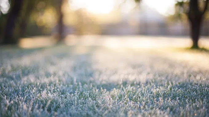 when is it too cold to fertilize lawn