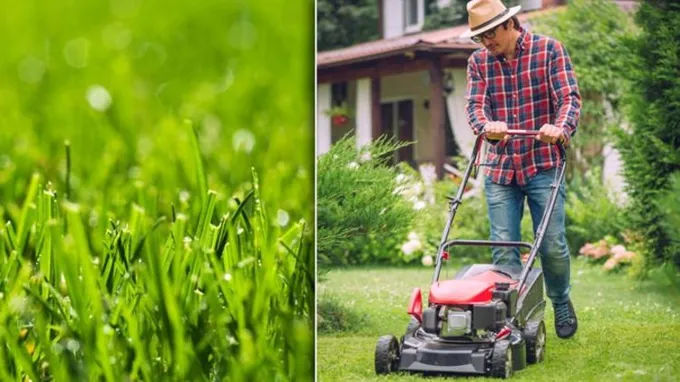 when is it too hot to cut grass