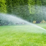 When is it Too Hot to Cut Grass: Best Times for Lawn Care in High Temperatures