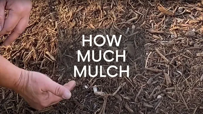 when is it too late to put down mulch