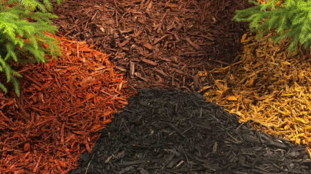 When is it too late to put down mulch? Best timing for your garden