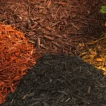 When is it too late to put down mulch? Best timing for your garden