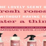 When is Rose Mrs. Meyer’s In Season: A Guide to the Perfect Timing