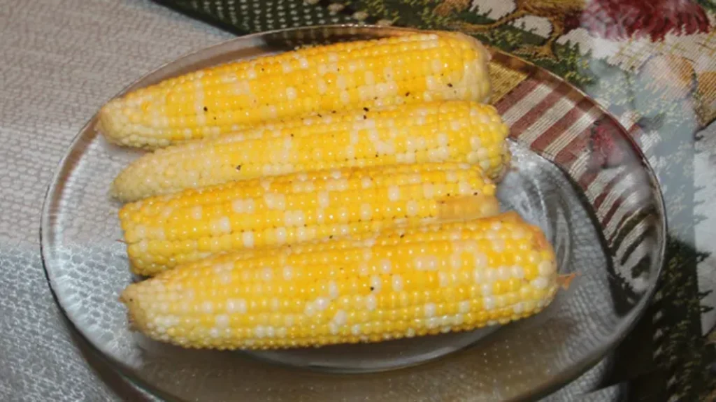 When Is Silver Queen Corn Available: Season, Harvesting, and Availability