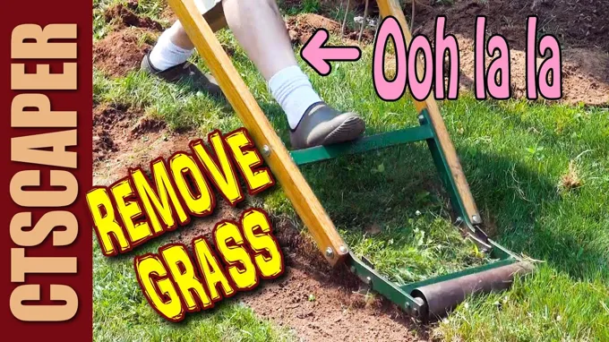 when is the best time to fix your grass