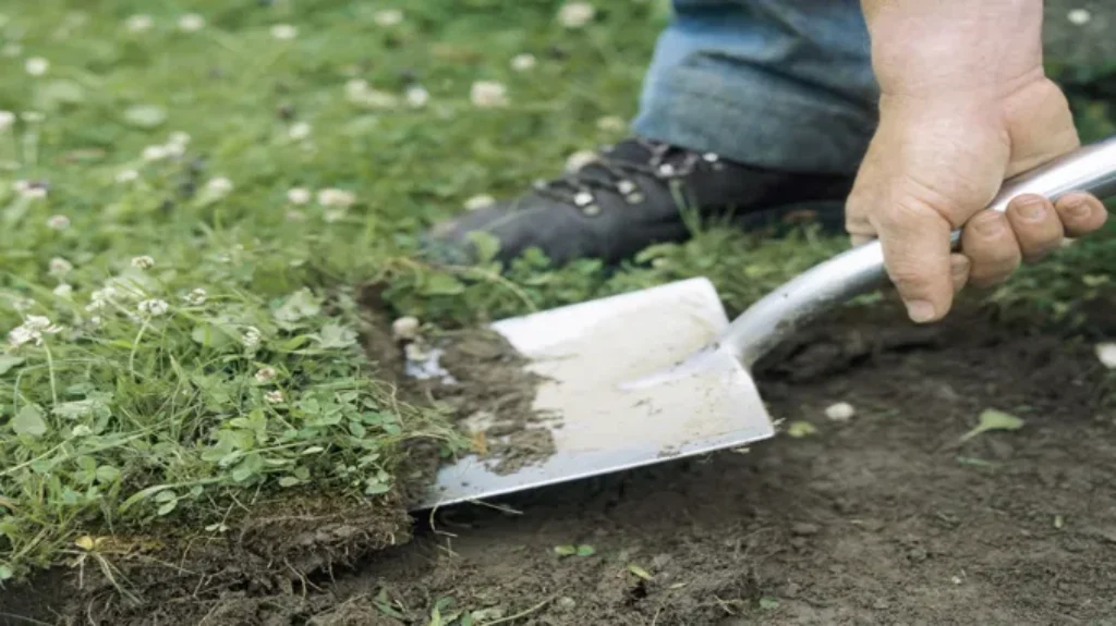 When Is the Best Time to Fix Your Grass to Ensure a Lush and Healthy Lawn