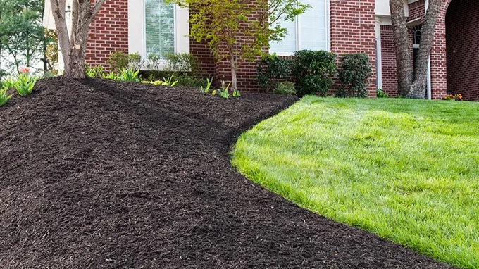 when is the best time to mulch your lawn