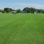 When is the Best Time to Seed Bermuda Grass for a Lush Lawn?