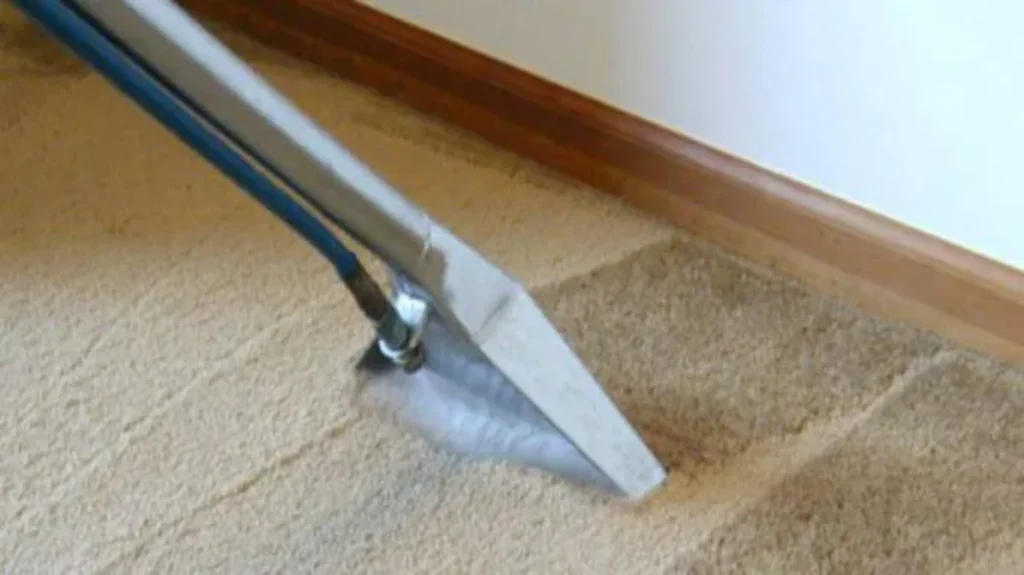 When Is the Best Time to Shampoo Carpets: Expert Tips for Effective Cleaning