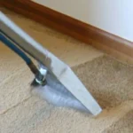 When Is the Best Time to Shampoo Carpets: Expert Tips for Effective Cleaning