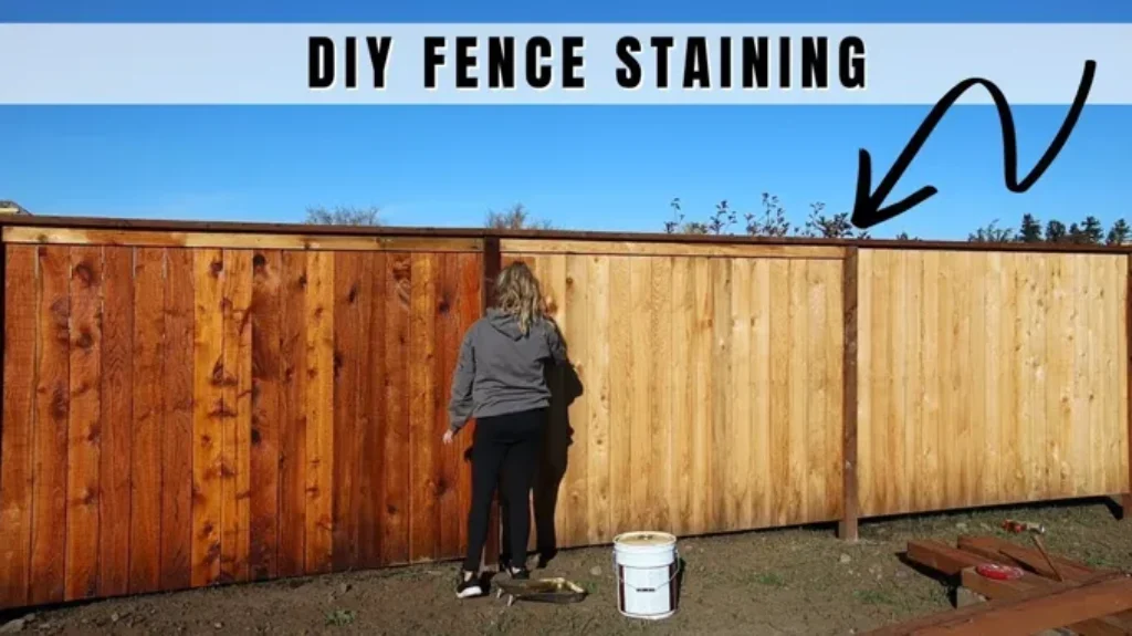 When is the Best Time to Stain a Fence: Expert Tips and Guidelines