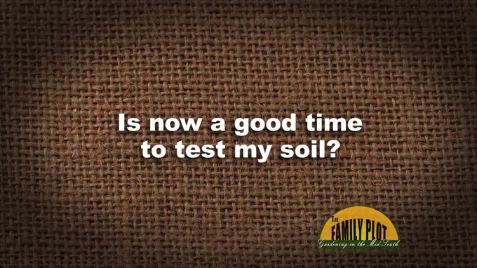 when is the best time to test soil?