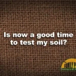 When is the Best Time to Test Soil for Optimal Results?