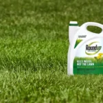 When is the Best Time to Use Roundup for Effective Weed Control?