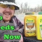 When Should I Apply Preen in the Spring? Best Practices for Weed Control